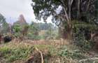 1 ac Land in Kitisuru - 2