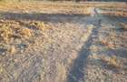 Land in Kitengela - 12