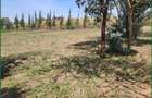 Commercial Land in Narok - 4