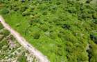 10 ac Land in Vipingo - 7