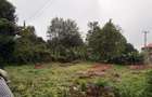 Land in Lower Kabete - 5