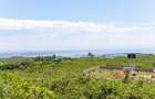 404 ac Residential Land at Riat Hills - 12