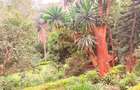 1 ac Land in Spring Valley - 5