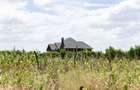0.125 ac Residential Land in Nanyuki - 5