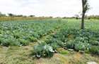 0.125 ac Residential Land in Nanyuki - 11