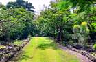 4 Bed House with En Suite at Kuruwitu Beach - 16