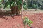 0.25 ac Land at Ruaka - 2