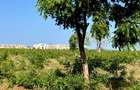 5 ac Land at Utalii -Campus - Vipingo - 12