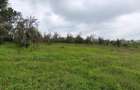 3 ac Land at Nazareth Road - 2