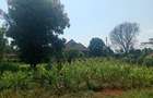 1 ac Land at Ngecha - 2