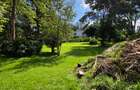 Land in Thigiri - 10