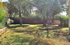 4 Bed House with En Suite at Lavington Area - 16