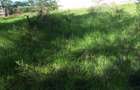 0.25 ac Residential Land in Ongata Rongai - 16