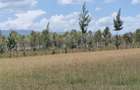 Residential Land at Moi South Lake Road - 8