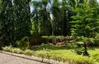 3 Bed House in Mtwapa - 15