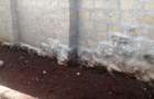 3 Bed House with En Suite in Ngong - 5