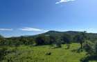 30.3 ac Land at Lolldaiga Valley - 2