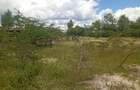 0.125 ac Land at Kyumvi Junction - 4