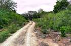 10 ac Land at Kuruwitu Vipingo - 15