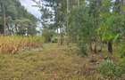 Land at Next To Tilisi Estate - 5