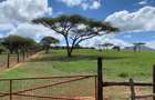 540 ac Land in Bisil - 10