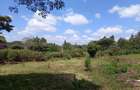 Land in Karen - 1