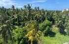 505 m² Land in Mtwapa - 10