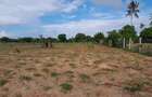 13 ac Land at Majaoni - 3