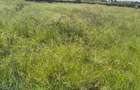 20 ac Land in Kikambala - 1