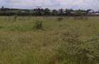 0.045 ac Residential Land at Kitengela Acacia - 4