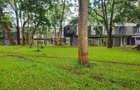 Commercial Property with Parking in Lavington - 14