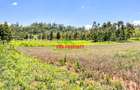 0.4 ha Land at Lusigetti - 6