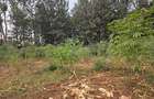 Land at Thindigua - 2