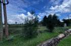 0.5 ac Land in Runda - 4