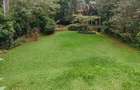 6 Bed House with En Suite in Nyari - 5
