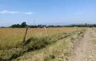 Land in Nyeri - 1