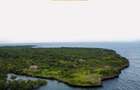Land at Funzi Island. Limited Parcels Of Land For Sale On Funzi Island - 10
