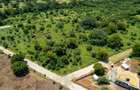 1,000 m² Land at Kuruwitu - 16