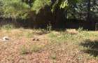1 m² Land in Runda - 4