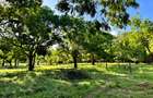 Land in Vipingo - 11