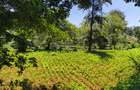 Land in Kitisuru - 2