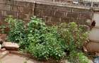 4 Bed House with En Suite in Langata - 3