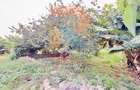 1.25 ac Land at White House Estate - 5