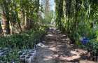 2 ac Land at Mtwapa - Animo - 10