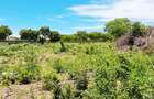 Land at Diani Beach - 8