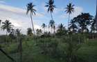 1,450 ac Land at Mabokoni - 8