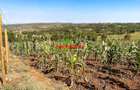 0.05 ha Residential Land at Kamangu - 9