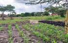 5 ac Commercial Land in South B - 1