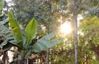 0.0113 ac Residential Land in Ngong - 8