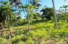 Land at Kwale - 11